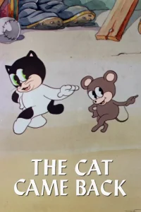 گربه برگشت