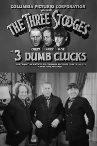 3 Dumb Clucks