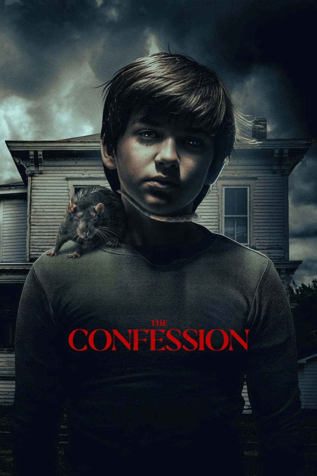 The Confession (FR)