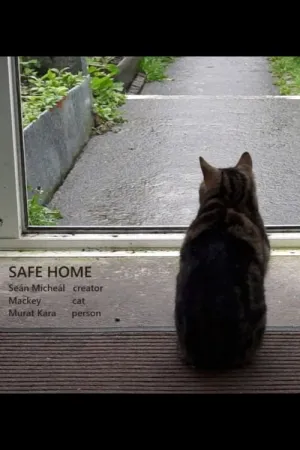 Safe Home