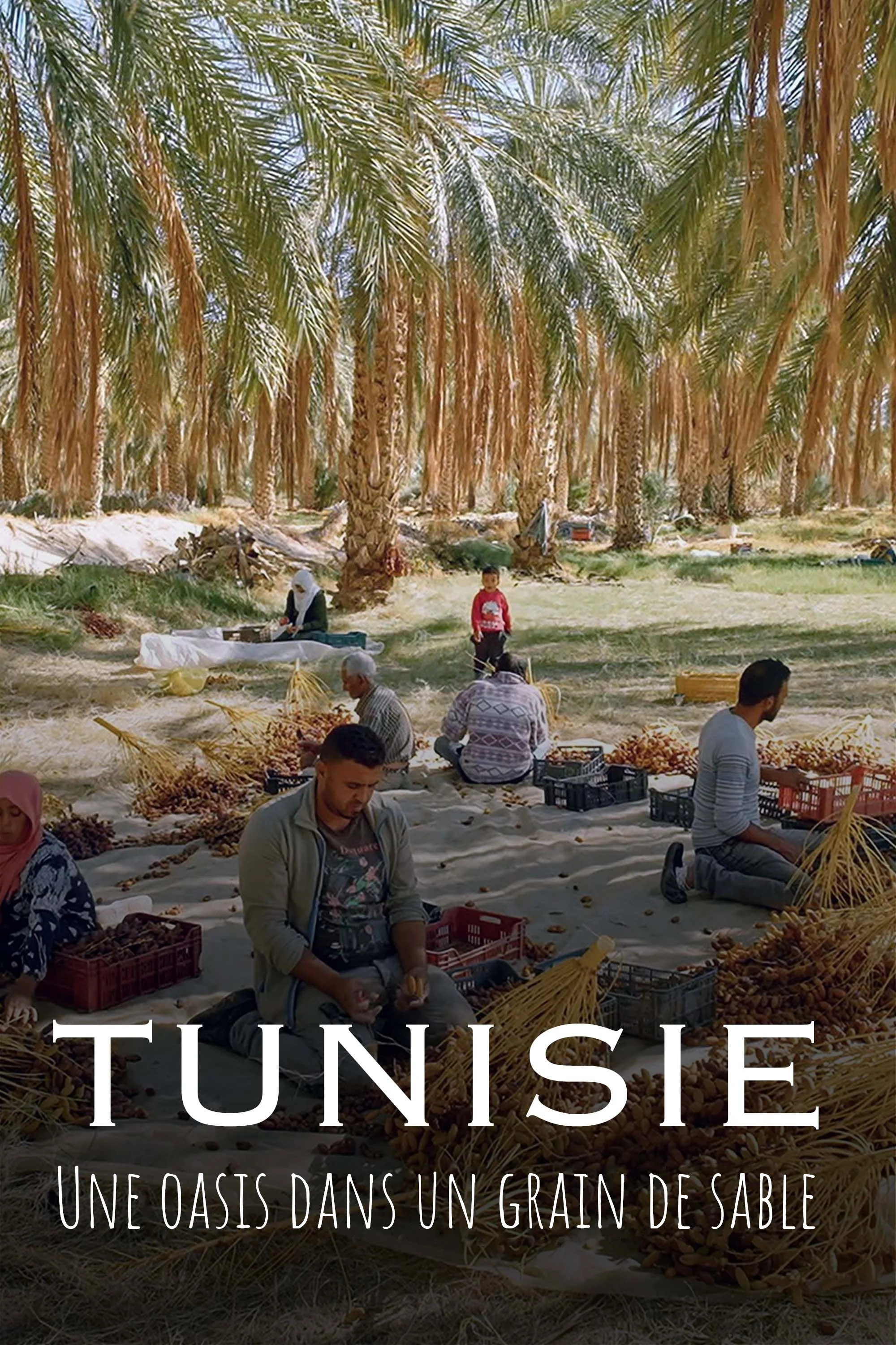 Tunisie : Une oasis dans un grain de sable (FR)