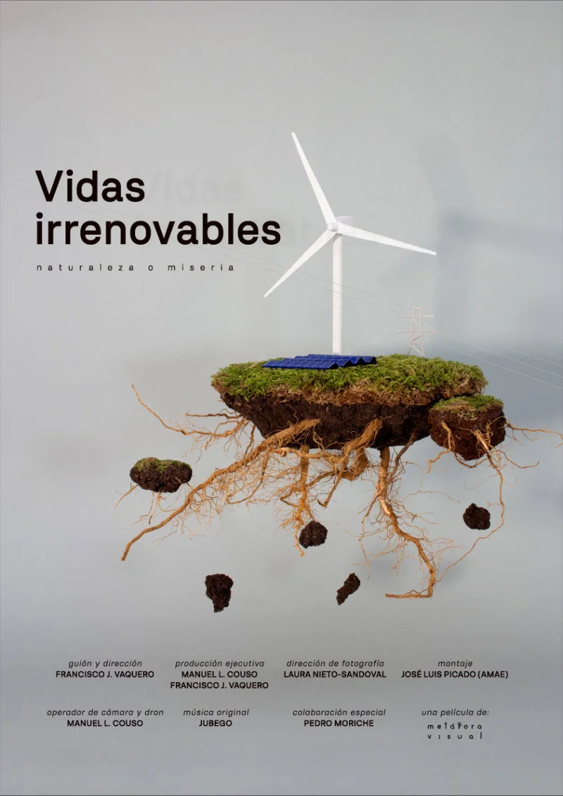 Vidas Irrenovables