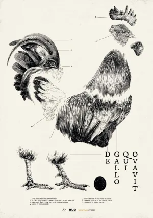 De Gallo Qui Ovavit