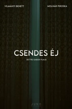 Csendes éj
