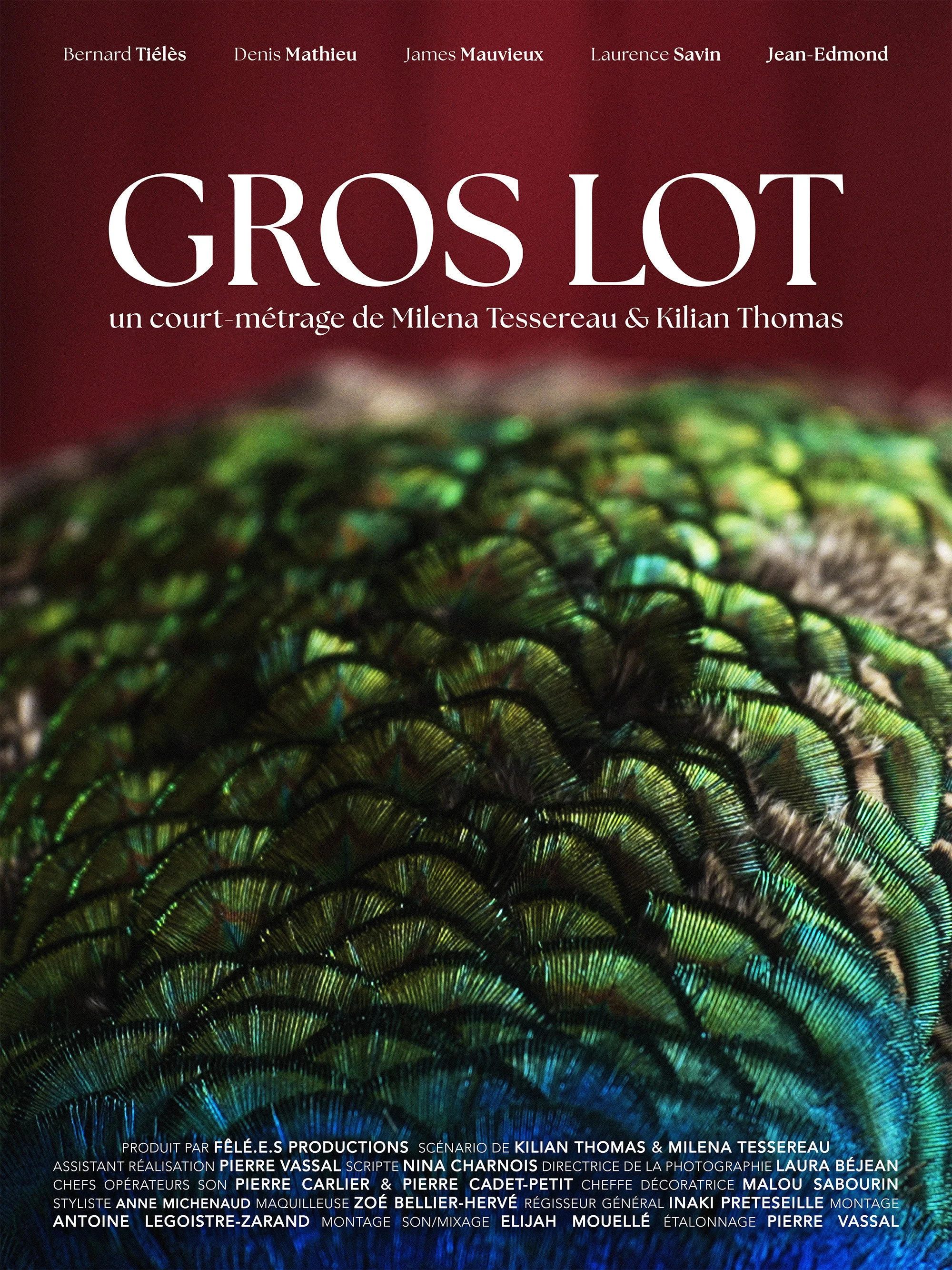 پارِسِ بزرگ