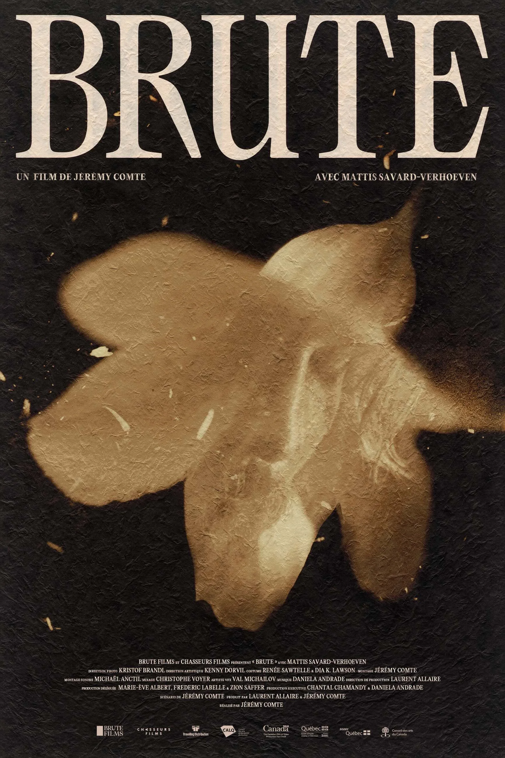 Brute