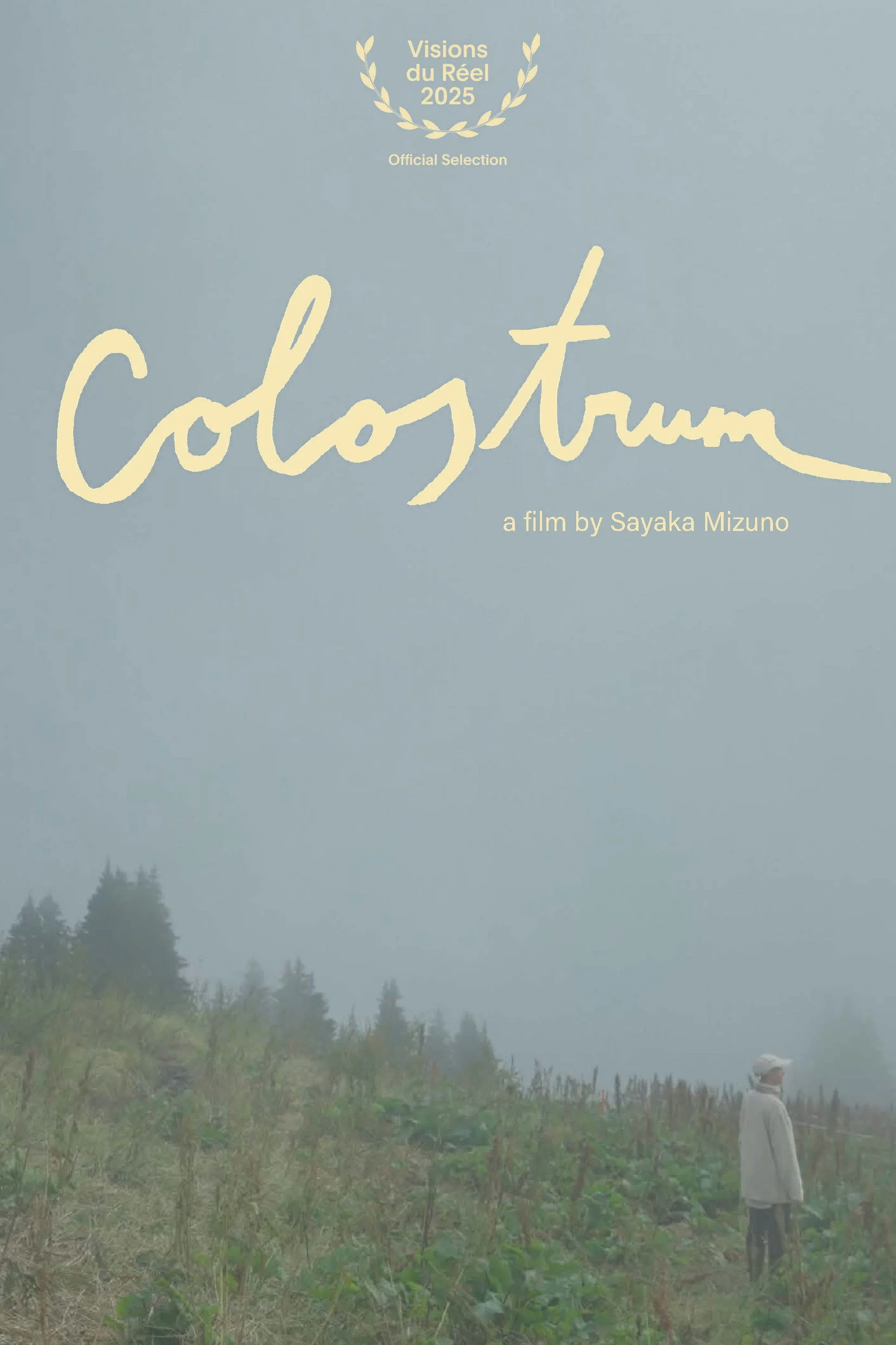 Colostrum