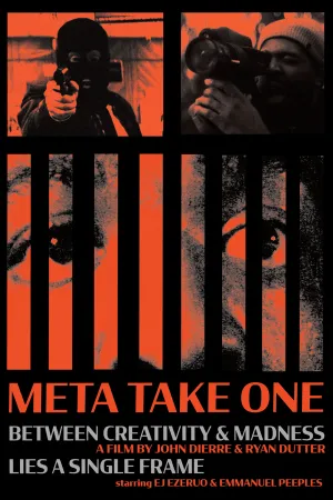 برداشت_META یک