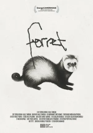 Ferret