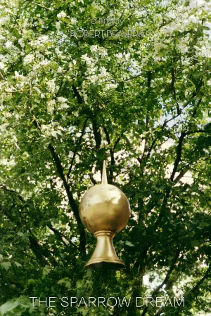 رویای زاغه