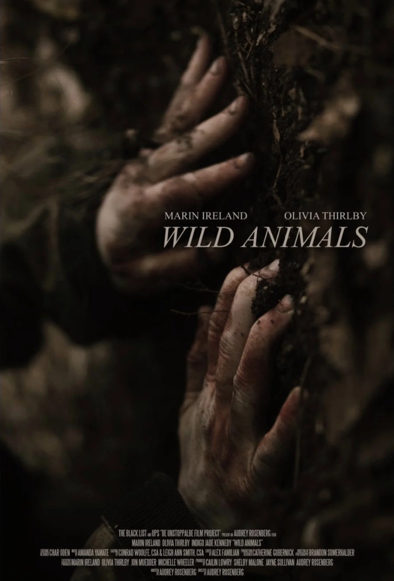Wild Animals