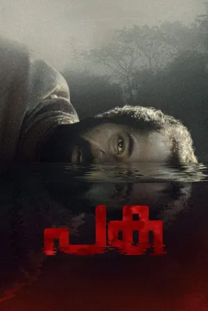 پاکا