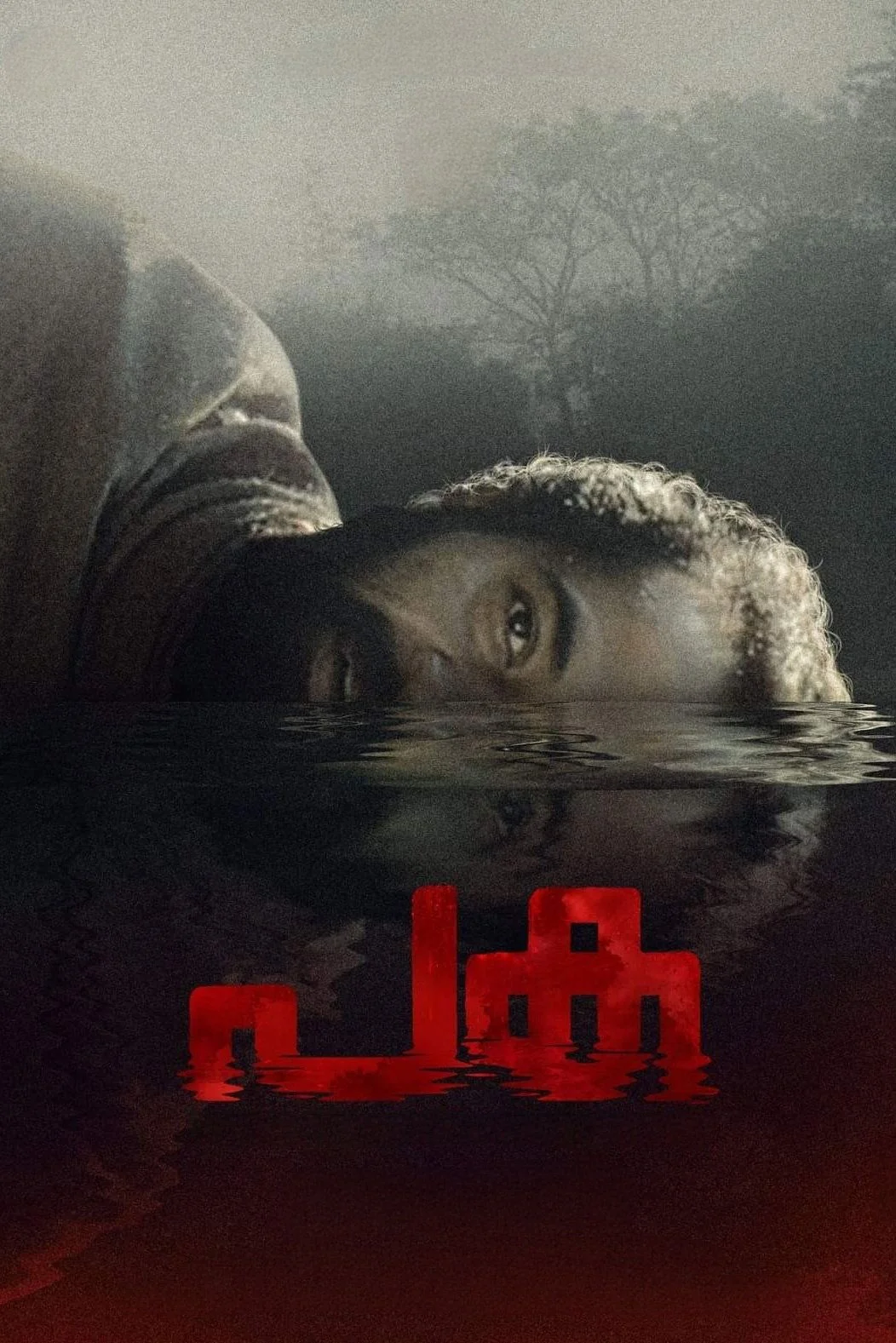پاکا