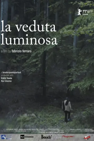 The Luminous View (FR)