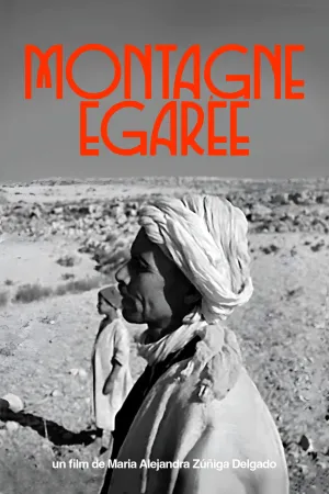ارتفاع گمشده