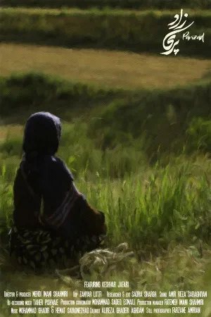 Parizad