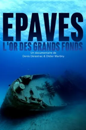 Sunken Eldorado: The New Underwater Gold Rush? (FR)
