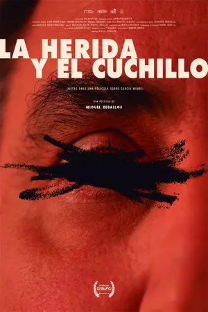 The Wound and the Knife (Notes for a Film About García Wehbi)