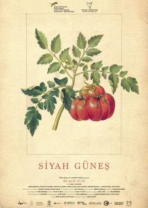 خورشید سیاه