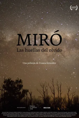 Miró. Traces of Oblivion (ES)