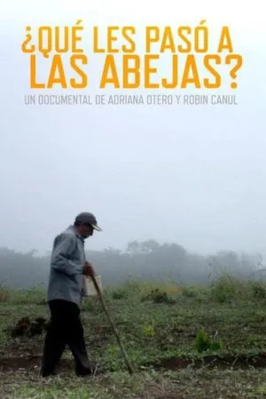What Happened to the Bees?