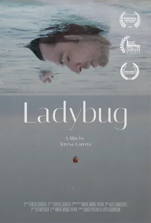 Ladybug