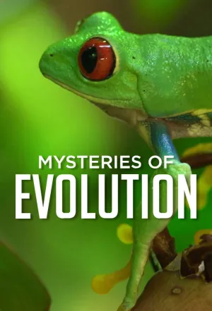 Mysteries of Evolution