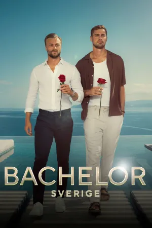 Bachelor Sweden
