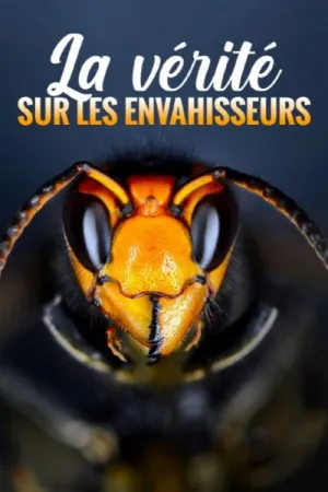 La vérité sur les envahisseurs