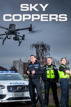 Sky Coppers