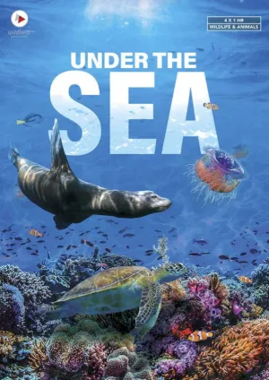 Under the Sea