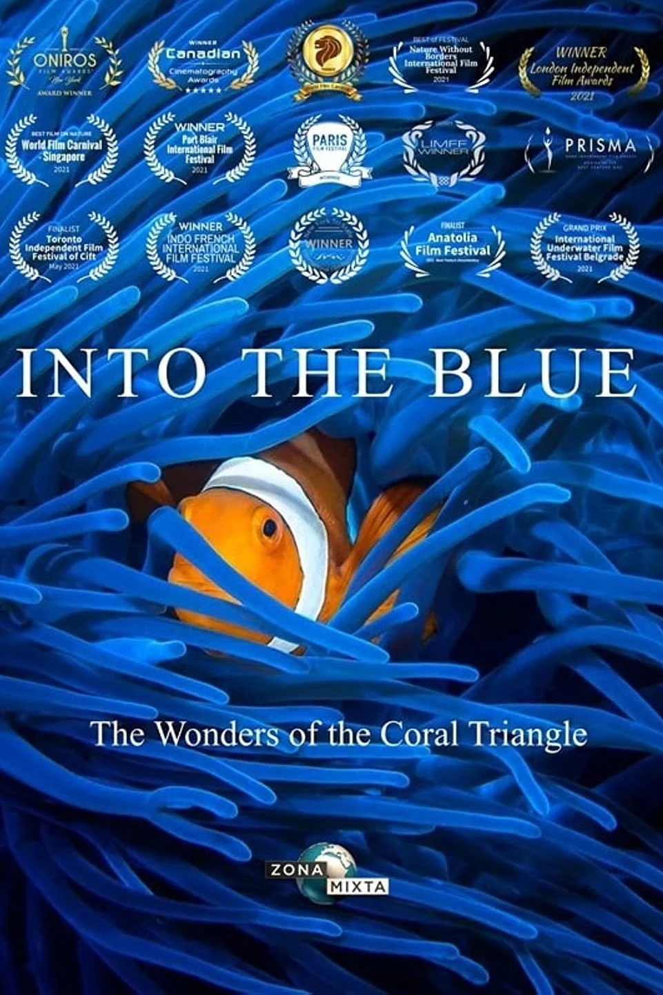 Triangle de Corail Merveilleuse biodiversité marine