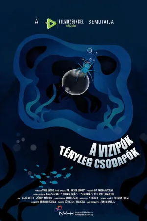 A vízipók tényleg csodapók