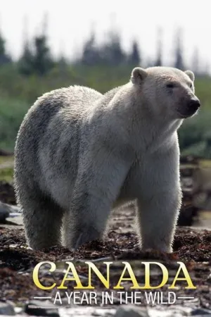 Canada: A Year in the Wild