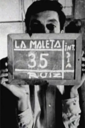 The Suitcase
