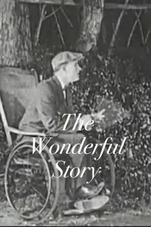 The Wonderful Story
