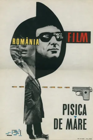 Pisica De Mare