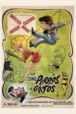 Como perros y gatos