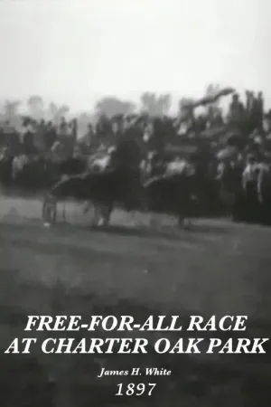 مسابقه آزاد در پارک چارتر اوک