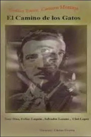 راه گربه‌ها