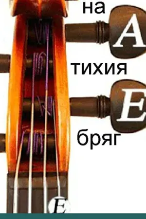 در سواحل آرام