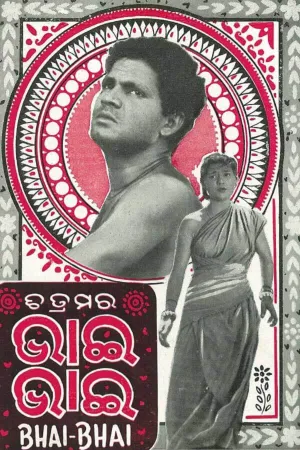 برادر برادر