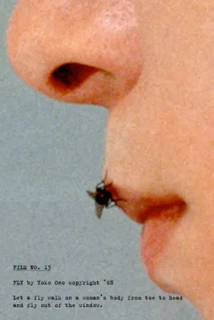 مگس