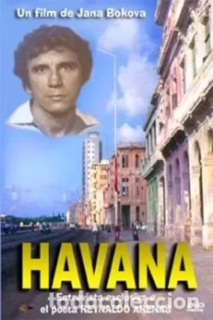 هاوانا