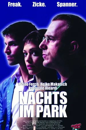 Nachts im Park