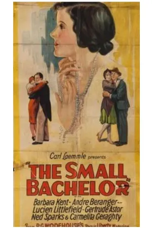 The Small Bachelor