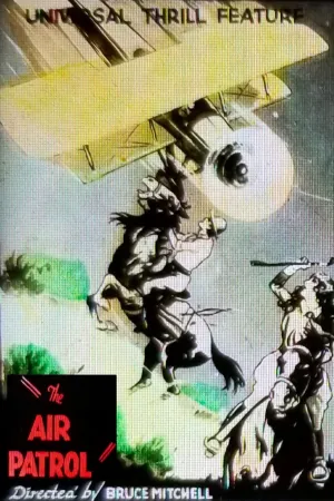 پتروپال هوایی
