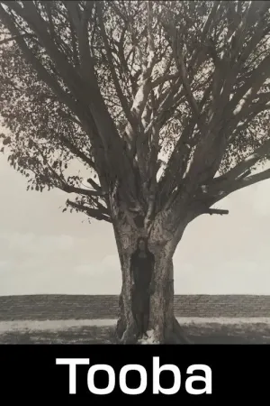 توبا