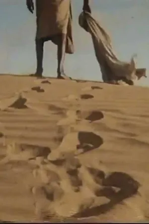 درخت زندگی