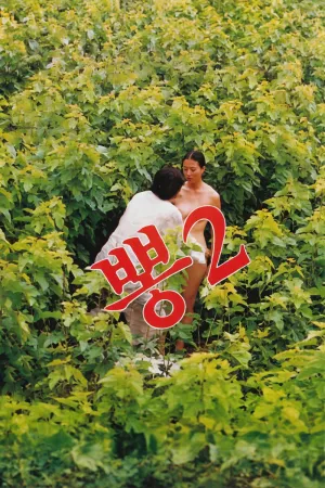 Mulberry 2